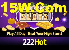 Premium Interface 222Hot
